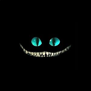 Meet your Posher, Judy